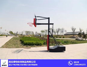 青岛篮球架 篮球架生产厂 陕西篮球架供应商 优质商家