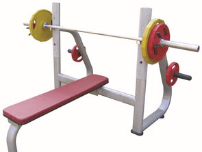 2017卧推架十大品牌排行榜 卧推架哪个牌子好