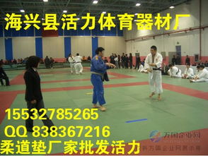 活力柔道垫生产厂家活力柔道垫 柔道垫生产厂家 柔道垫