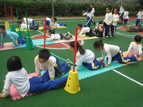 幼儿园草皮价格 幼儿园草皮施工厂家价格 幼儿园草皮价格 幼儿园草皮施工图片 幼儿园草皮价格 幼儿园草皮施工批发