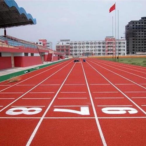 邵阳塑胶跑道公司 专业体育器材与运动场地建设的领航者