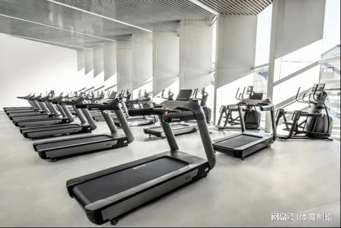 舒华体育 以专业器材助力冬奥村健身中心，共迎冰雪盛会